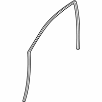 OEM Pontiac Surround Weatherstrip - 95980734