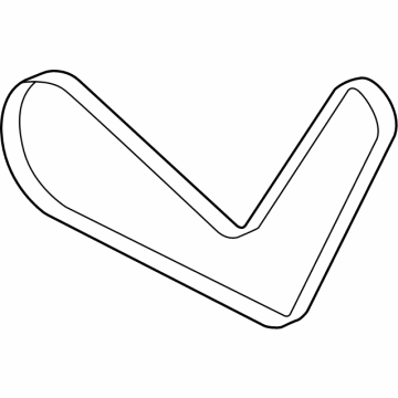 OEM 2021 Ford F-150 V-BELT - ML3Z-8620-D