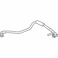 OEM 2019 Buick Regal Sportback Vacuum Hose - 84186437