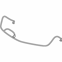 OEM 2011 Cadillac STS Washer Hose - 25810130