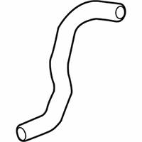 OEM 2017 Lexus GS350 Hose, Radiator, NO.2 - 16572-31450