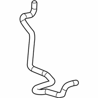 OEM 2012 Cadillac CTS Hose - 25888142