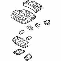 OEM Hyundai Sonata Overhead Console Lamp Assembly - 92810-4R000-YDA