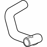 OEM 2015 Cadillac ELR Upper Hose - 20896087