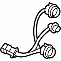 OEM Chevrolet Malibu Socket & Wire - 15869348