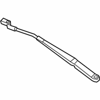 OEM 2019 Buick Cascada Wiper Arm - 13317342