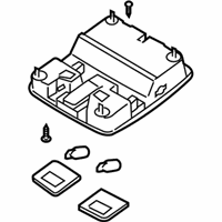 OEM Kia Amanti Lamp Assembly-S/GLASS Overhead - 928203F000NF