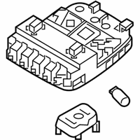 OEM Hyundai Sonata Overhead Console Lamp Assembly - 92810-C2200-PPB
