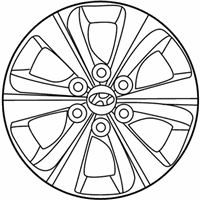 OEM Hyundai Wheel Hub Cap Assembly - 52960-3Y100