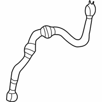 OEM Chevrolet S10 Brake Hose - 19174039