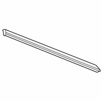 OEM Mercury Mountaineer Belt Weatherstrip - F1TZ7821457A