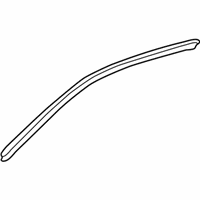 OEM Toyota Tacoma Drip Weatherstrip - 62381-04030