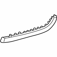 OEM 2002 Lincoln Blackwood Door Seal - 2C6Z1620758AA