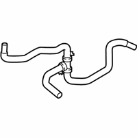 OEM Ford Police Interceptor Utility Water Hose - L1MZ-8C289-B