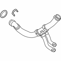 OEM 2014 Ford F-150 Lower Hose - BL3Z-8286-B