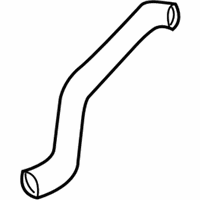 OEM Pontiac Firebird Radiator Outlet Hose (Lower) - 10256244