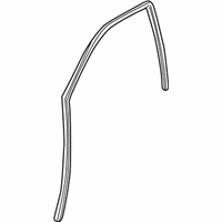 OEM Saturn LW2 Weatherstrip Asm, Front Side Door Window - 24419429