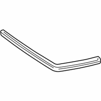 OEM 1999 Toyota Camry Glass Panel Weatherstrip - 63251-33021