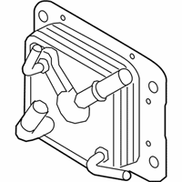 OEM Chevrolet City Express Auxiliary Cooler - 19317494