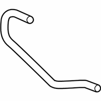 OEM 2016 Chevrolet City Express Lower Hose - 19316331