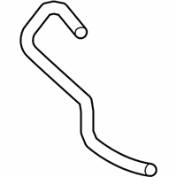 OEM 2017 Chevrolet City Express Lower Hose - 19316330