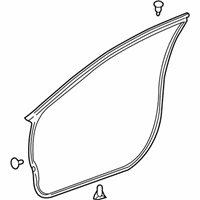 OEM Toyota Avalon Surround Weatherstrip - 67861-07020