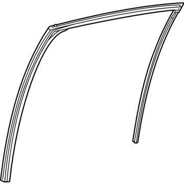 OEM Toyota Mirai Run Weatherstrip - 68142-62020