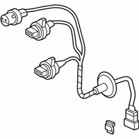 OEM 2006 Honda Element Socket - 33502-SCV-A01