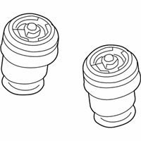 OEM BMW X5 Rear Pneumatic Spring - 37-12-6-795-013