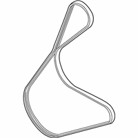 OEM 2020 Ford Transit Connect Serpentine Belt - CV6Z-8620-E