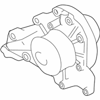 OEM Kia Amanti Pump Assembly-Water - 2510039011