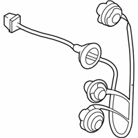 OEM 2017 Chevrolet City Express Socket & Wire - 19316436