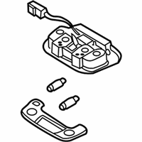 OEM 2006 Kia Optima Lamp Assembly-OVERHEADEAD Console - 9282038000GJ