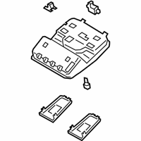 OEM Kia Soul Lamp Assembly-Overhead C - 92810M6010HGC