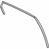 OEM Ford Run Channel - AE8Z-5825766-F