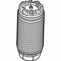 OEM Ram 1500 Spring-Air Suspension - 68248948AA