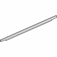 OEM 2016 GMC Terrain Belt Weatherstrip - 23193172
