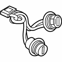 OEM Chevrolet Cruze Socket & Wire - 39042850