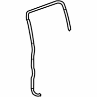 OEM 2010 Chevrolet Colorado Weatherstrip Asm, Rear Side Door Auxiliary *Closed Carrier - 19210207