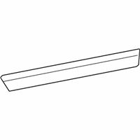 OEM Buick Terraza Body Side Molding - 19120914