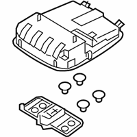 OEM 2017 Kia K900 Lamp Assembly-Overhead Console - 928103T151TX