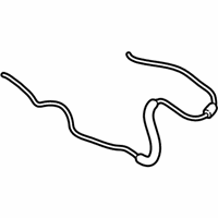 OEM Ford Transit Connect Front Hose - DT1Z-17A605-M