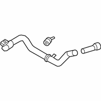 OEM 2019 Ford F-250 Super Duty Lower Hose - LC3Z-8286-E