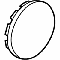 OEM Jeep Wrangler Wheel Center Cap - 5DY07TAEAB