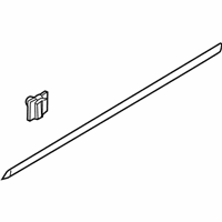 OEM 2015 Kia K900 MOULDING Assembly-Waist Line - 877113T000
