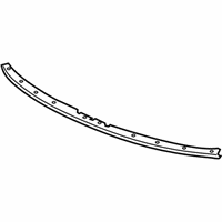 OEM 2019 Cadillac XTS Front Weatherstrip - 23190863