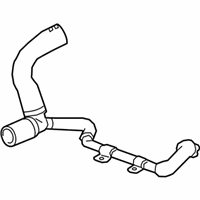 OEM 2019 Buick Regal Sportback Lower Hose - 39071388