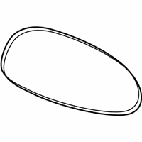 OEM BMW 1 Series M Mirror Glass, Heated, Convex, Right - 51-16-7-252-896