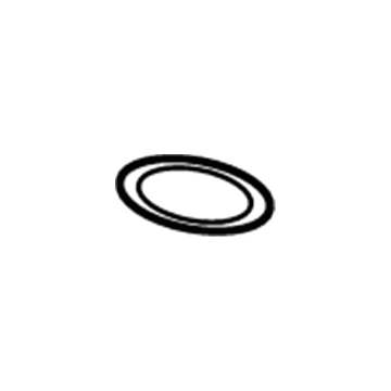 GM 12570307 Water Inlet Seal