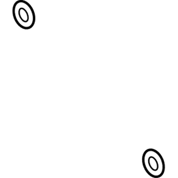 GM 25740416 Lower Hose Seal